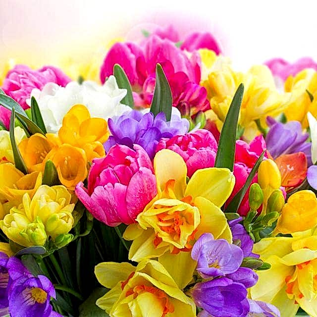 йога в Алматы отзывы