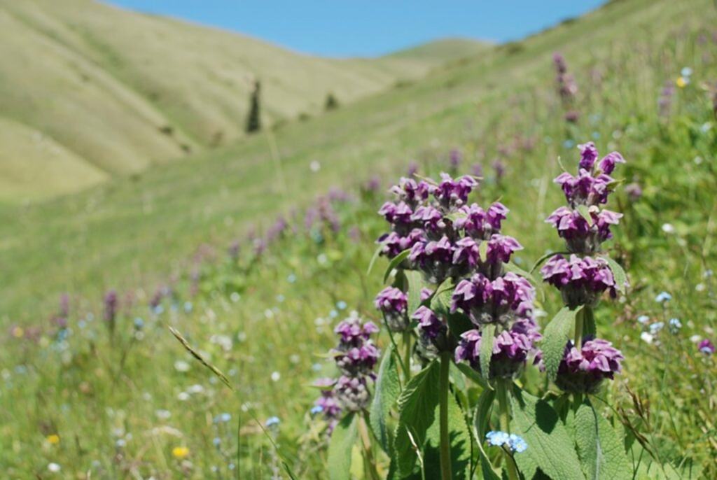 йога в алматы отзывы